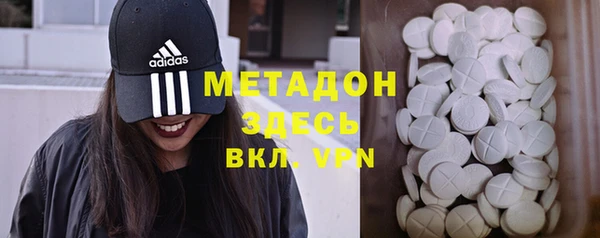 прущие грибы Абинск