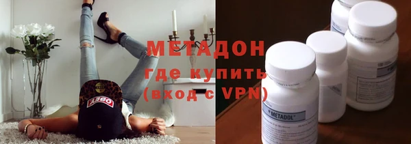 прущие грибы Абинск