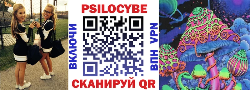 как найти закладки Западная Двина Псилоцибиновые грибы Psilocybine cubensis