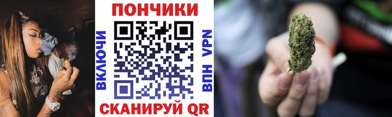продажа наркотиков  MEGA зеркало  Бошки Шишки SATIVA & INDICA  Западная Двина 